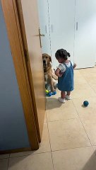 Dog Gets Scolded For His Crimes