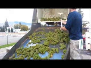 Pend  d Oreille Winery in Sandpoint Idaho
