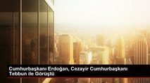 Cumhurbaşkanı Erdoğan, Cezayir Cumhurbaşkanı Tebbun ile Görüştü