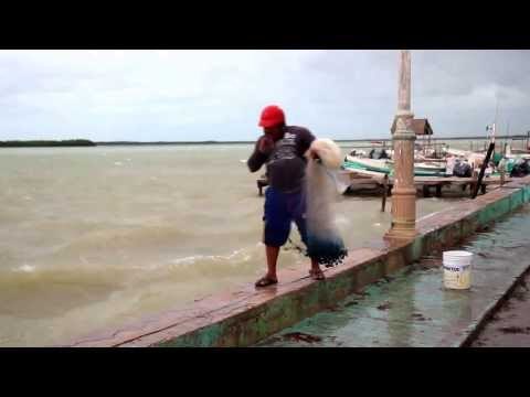 A Creepy Day in Río Lagartos