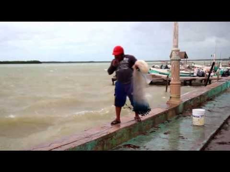 A Creepy Day in Río Lagartos