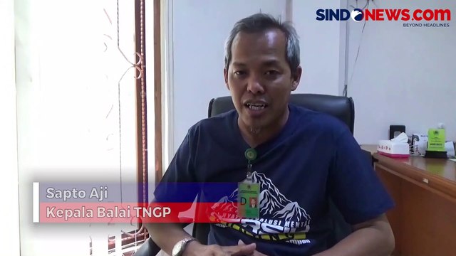 Update! Kebakaran di Gunung Gede Pangrango Berhasil Dipadamkan