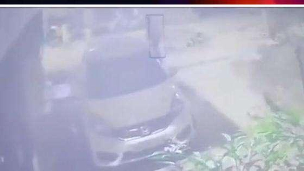 मुरादाबाद: कुत्ते के बच्चे के साथ युवक ने दिखाई हैवानियत,वीडियो देख आपका खौल उठेगा खून