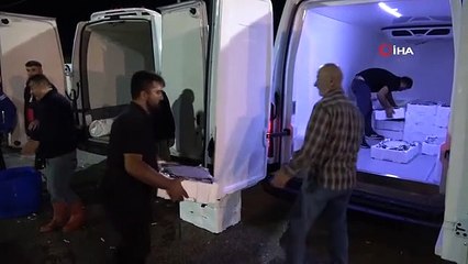 Ordu'da Balık Halinde Yoğunluk Yaşanıyor