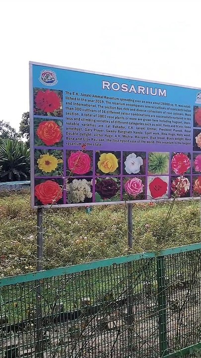 World Biggest Banyan Tree morethan 350 years old