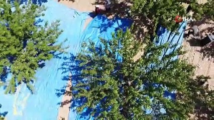 Depremin vurduğu Malatya’da kayısı yüz güldürüyor