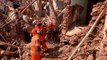 ‘Entombed donkey’ pulled from rubble of collapsed building in Morocco