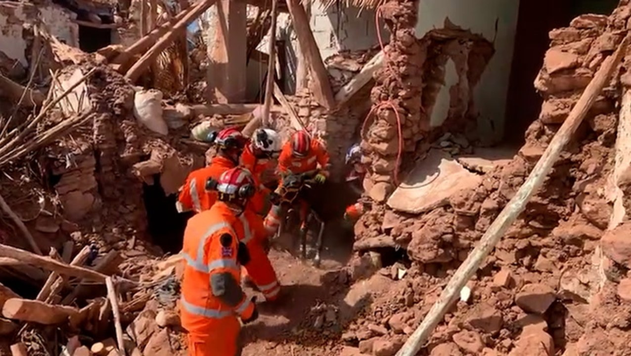 ‘Entombed donkey’ pulled from rubble of collapsed building in Morocco