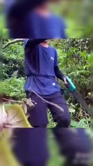 Amazing work in the field