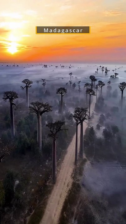 Madagascar