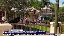 Etats-Unis: Une ourse noire aperçue dans le parc Disney World d’Orlando a entraîné la fermeture temporaire d’une dizaine d’attractions avant d’être finalement capturée - VIDEO