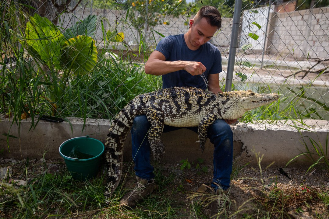 Birçok Timsah türünü evinde besliyor