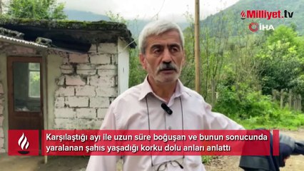 Artvin’de ayı dehşeti! Uzun süre boğuştu gözlerini hastanede açtı