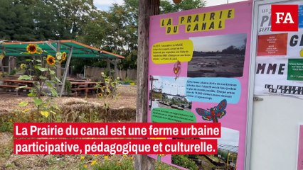 De plus en plus de ferme urbaine rejoignent l'interprofession de semences et plants