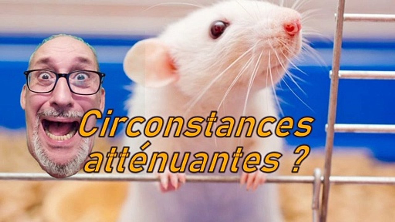 Ah ben oui mais si on ne nous dit pas tout !!!