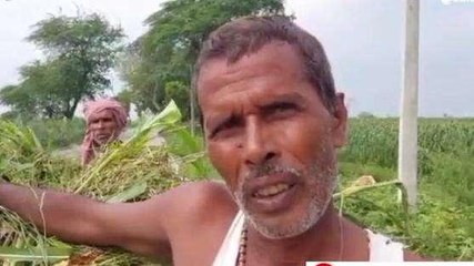 हरदोई: कम होने के बाद फिर बढ़ा गंगा का जलस्तर, ग्रामीण परेशान