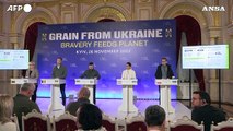 Scontro in Ue sul grano ucraino, Kiev ricorre al Wto