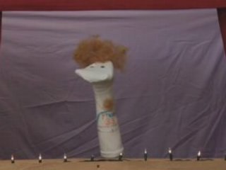 Semi-Pro Sock Puppet Show