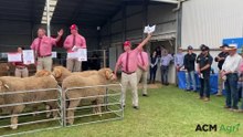 WATCH: Collinsville sells ram to $70k | Sept 2023 | Stock Journal