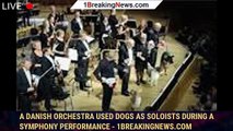 A Danish orchestra used dogs as soloists during a symphony performance - 1breakingnews.com
