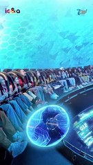 Storytelling & Lasting Memories with Miral's Taghrid Al Saeed