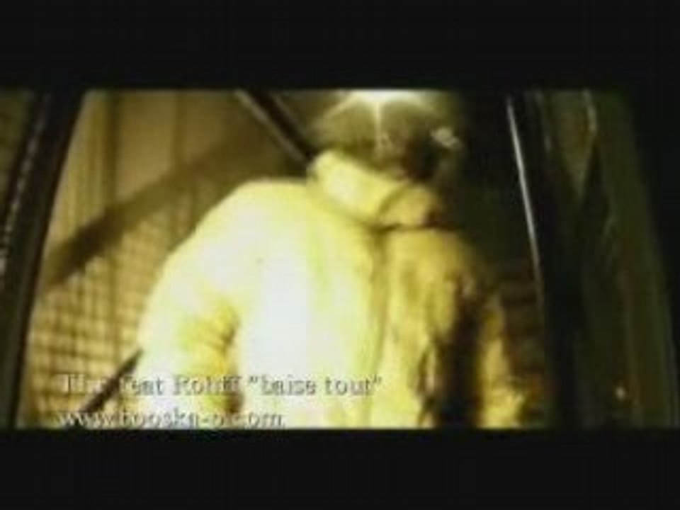 TLF ft Rohff - On Baise Tout