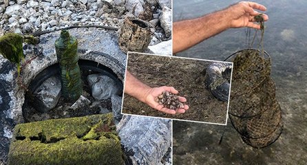 ‘Eğirdir Gölü adeta ölümü bekliyor’