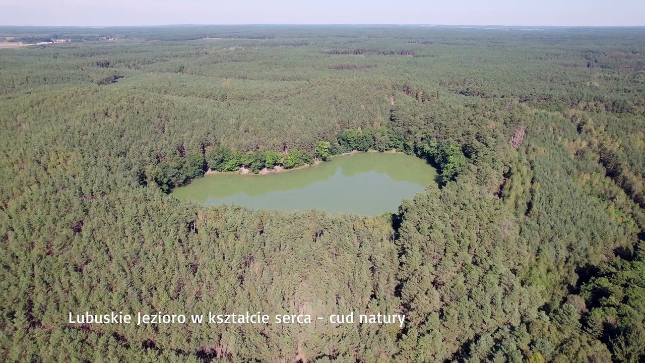 Lubuskie jezioro w kształcie serca pod Międzyrzeczem