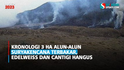 Kronologi 3 Ha Alun-alun Suryakencana Terbakar, Edelweiss dan Cantigi Hangus