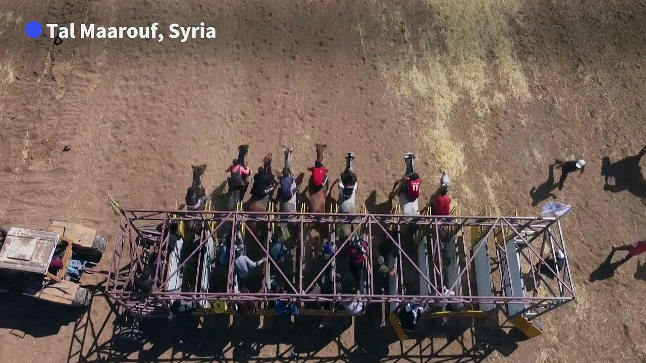 In northeastern Syria, purebred Arabian horses...