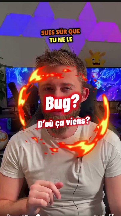 D’ou viens le terme bug?