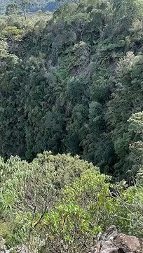 VÍDEO: Cães caem de penhasco na Serra de SC e são resgatados por bombeiros