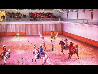 The Christmas Gala at the Portuguese School of Equestrian Art 2018 - Belem / Lisbon Travel Blog
