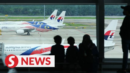 Govt will not interfere in setting of MAS ticket prices, says Loke