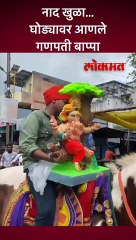 नाद खुळा... घोड्यावर आणले गणपती बाप्पा