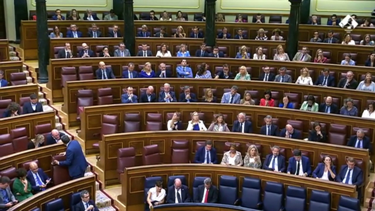 Un diputat del PP parla en basc al congrés espanyol mentre ell mateix ho critica
