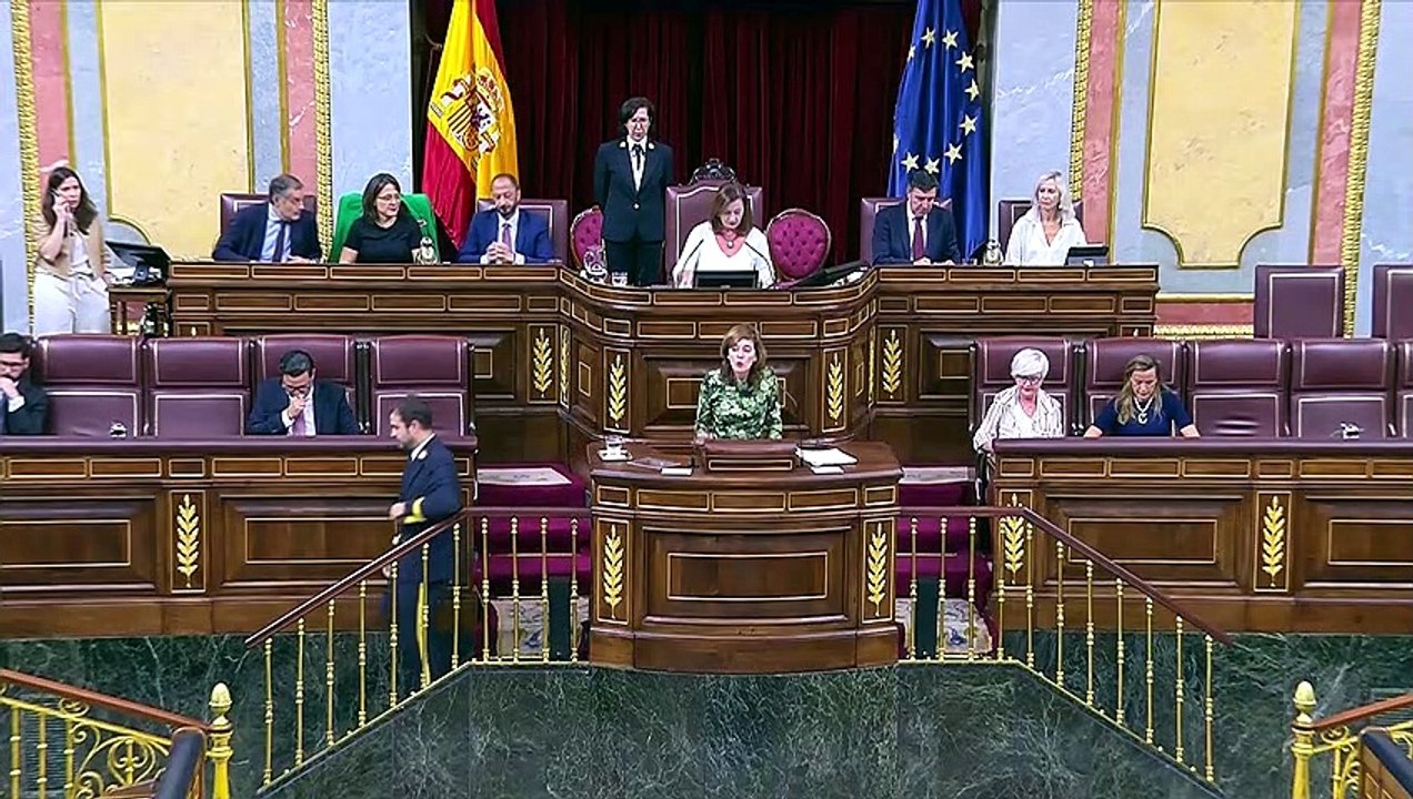 El Congreso avala la reforma del Reglamento para el uso de lenguas cooficiales