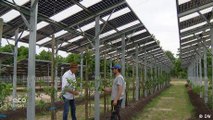 Combining photovoltaics and agriculture
