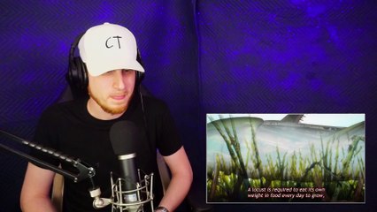 Joey JJK 2x8 Reaction