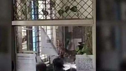 शाजापुर। मरीजों से सेवा शुल्क के नाम पर 10 रुपए लिए लेकिन कागजों में जीरो दिखाए, अब होगी जांच