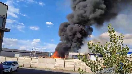 Más imágenes de las llamas originadas este martes en Torreplas