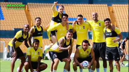 Tigres buscará el liderato en el Clásico Regio