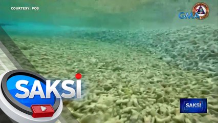 Malinaw na paglabag sa UNCLOS ang pagsira sa mga bahura — DND | Saksi