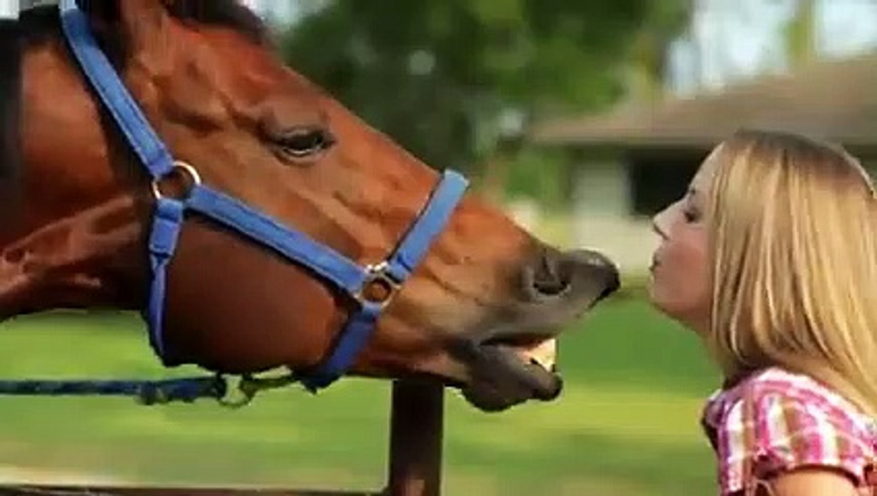 C'est Pourquoi Le Cheval s'est Vengé du Crocodile, Les 4 Batailles les Plus Féroces !!