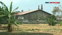 Polusi Pabrik Pupuk, Rumah Warga Dipenuhi Debu Hitam di Demak