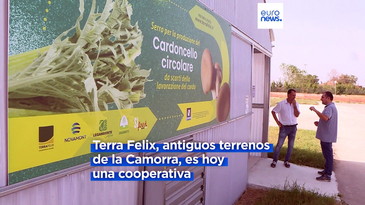 Terra Felix convierte tierras expropiadas a la camorra en cultivos de esperanza e inclusión