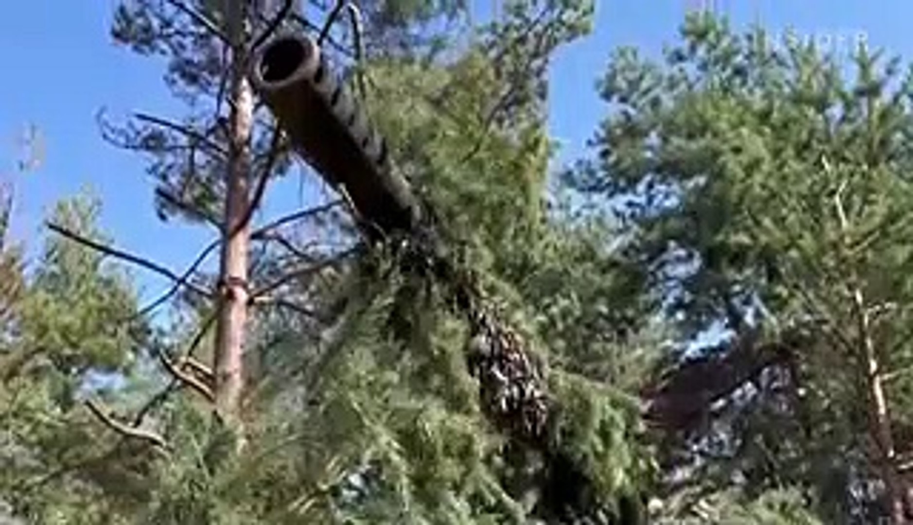 What's next for the war in Ukraine?