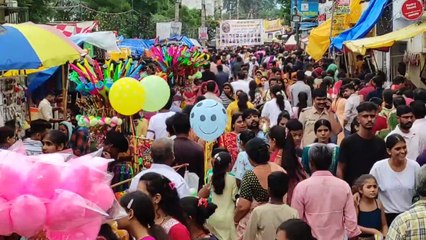 video...मंडलों के पांडाल के साथ घर-घर बिराजे गणपति