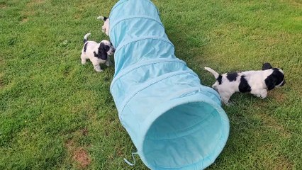 20230919_decouverte_tunnel