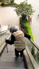 Este dispositivo protege contra golpes y caídas